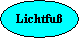 Lichtfu�